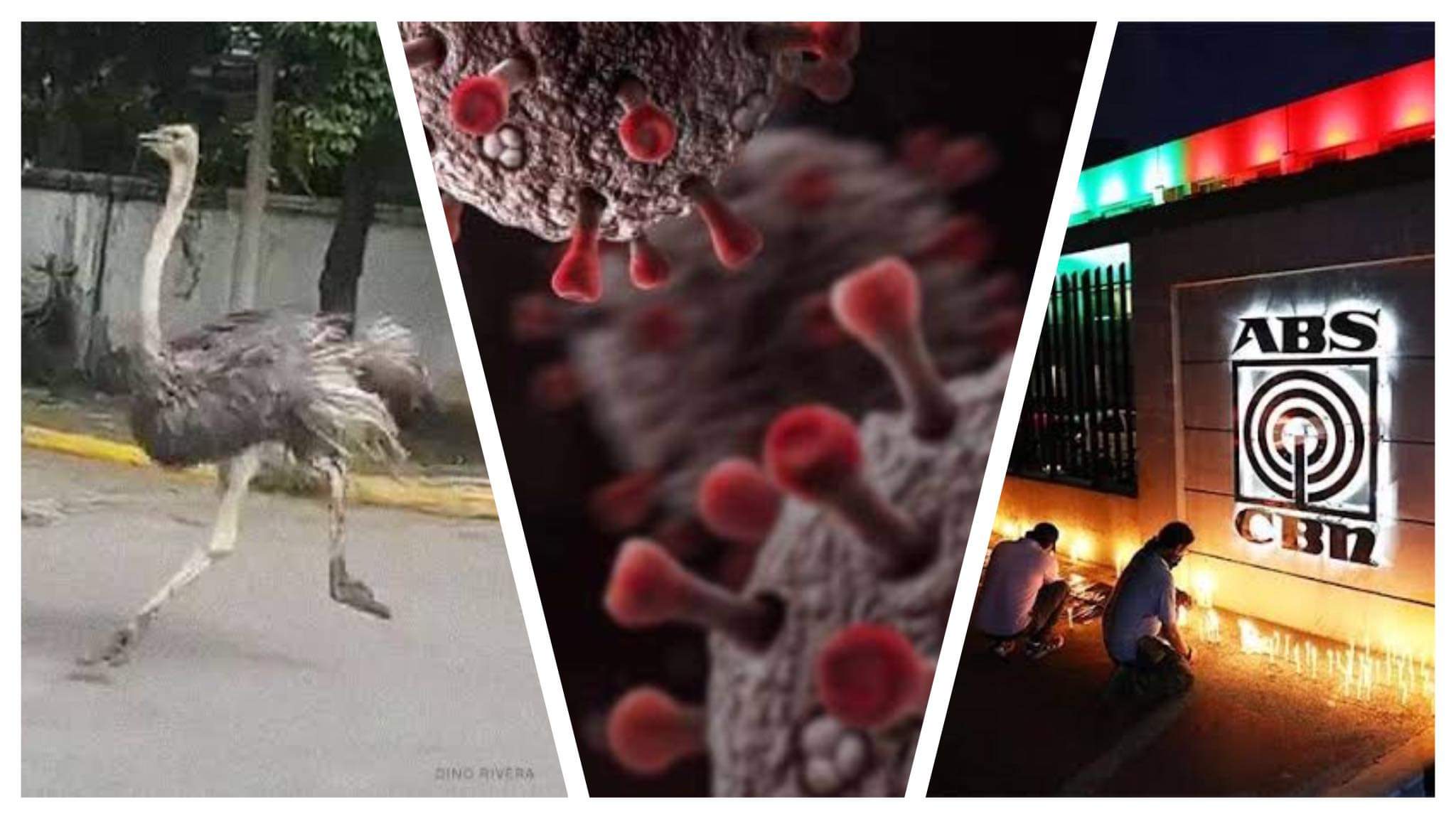 20 News stories that made us happy, sad and angry in 2020