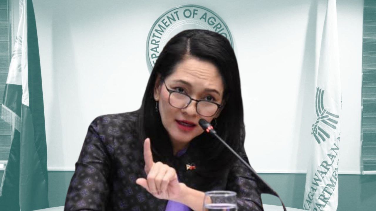 Hontiveros kay Marcos: Pagtatalaga ng 'competent, full-time' DA chief, nararapat na