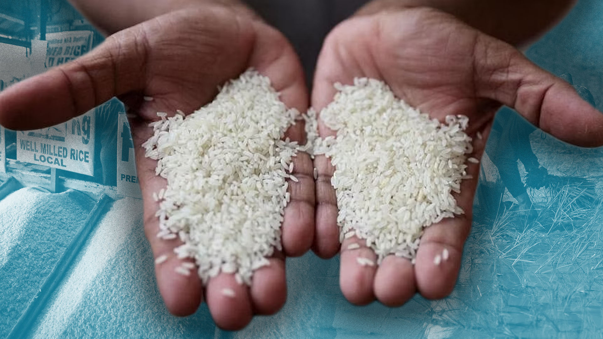 Agri group lauds Marcos’ rejection on rice tariff cut