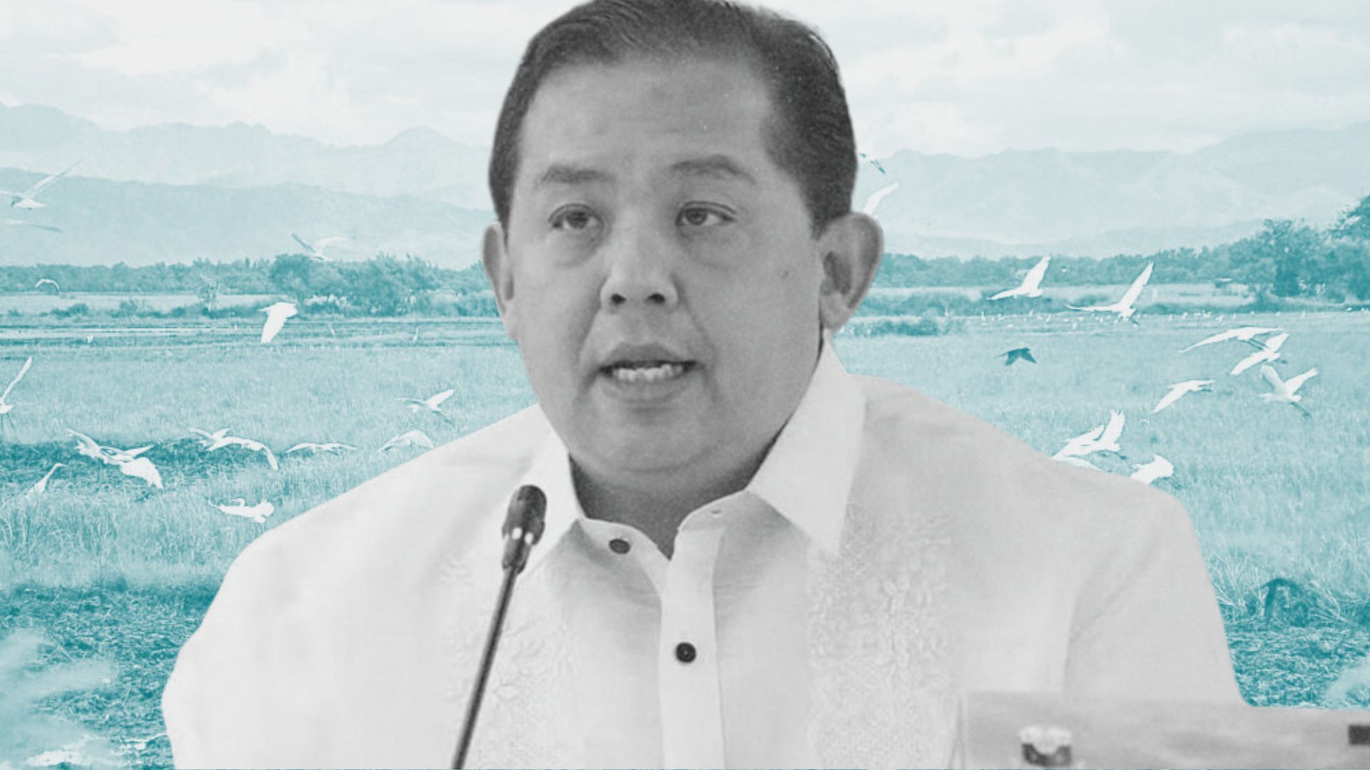 Romualdez backs 99-year foreigner land lease to boost PH economic competence