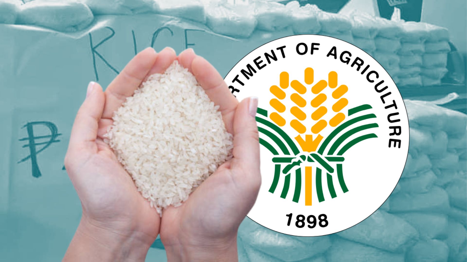 DA abides with election ‘ayuda’ ban, halts P20/kg rice sale