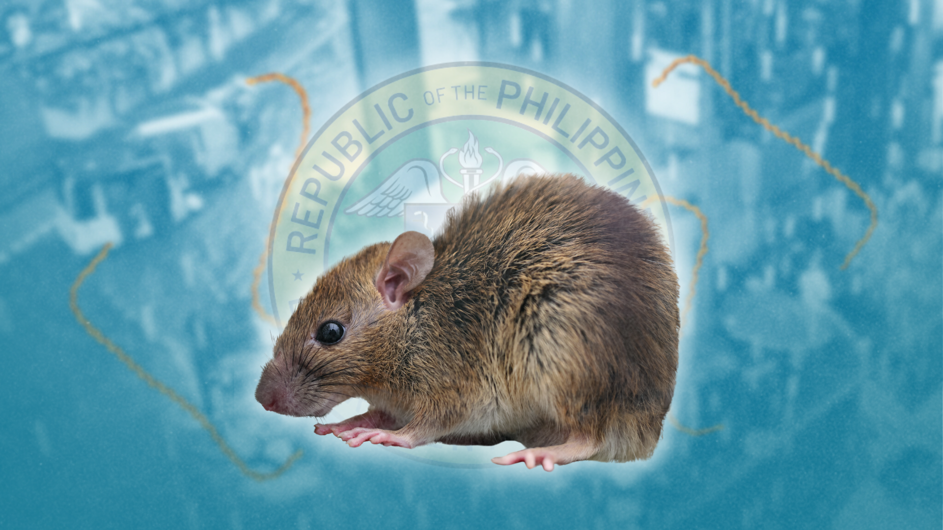 Leptospirosis cases drop, data scientist flags hidden deaths