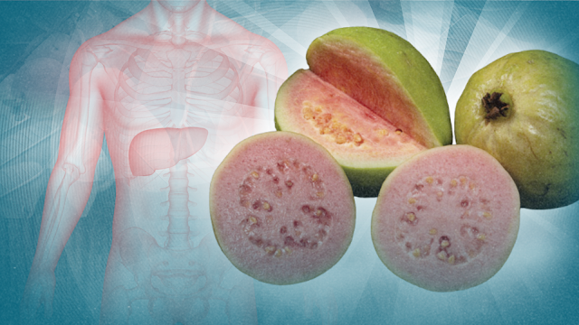 Guava Compound Offers Hope Against Liver Cancer