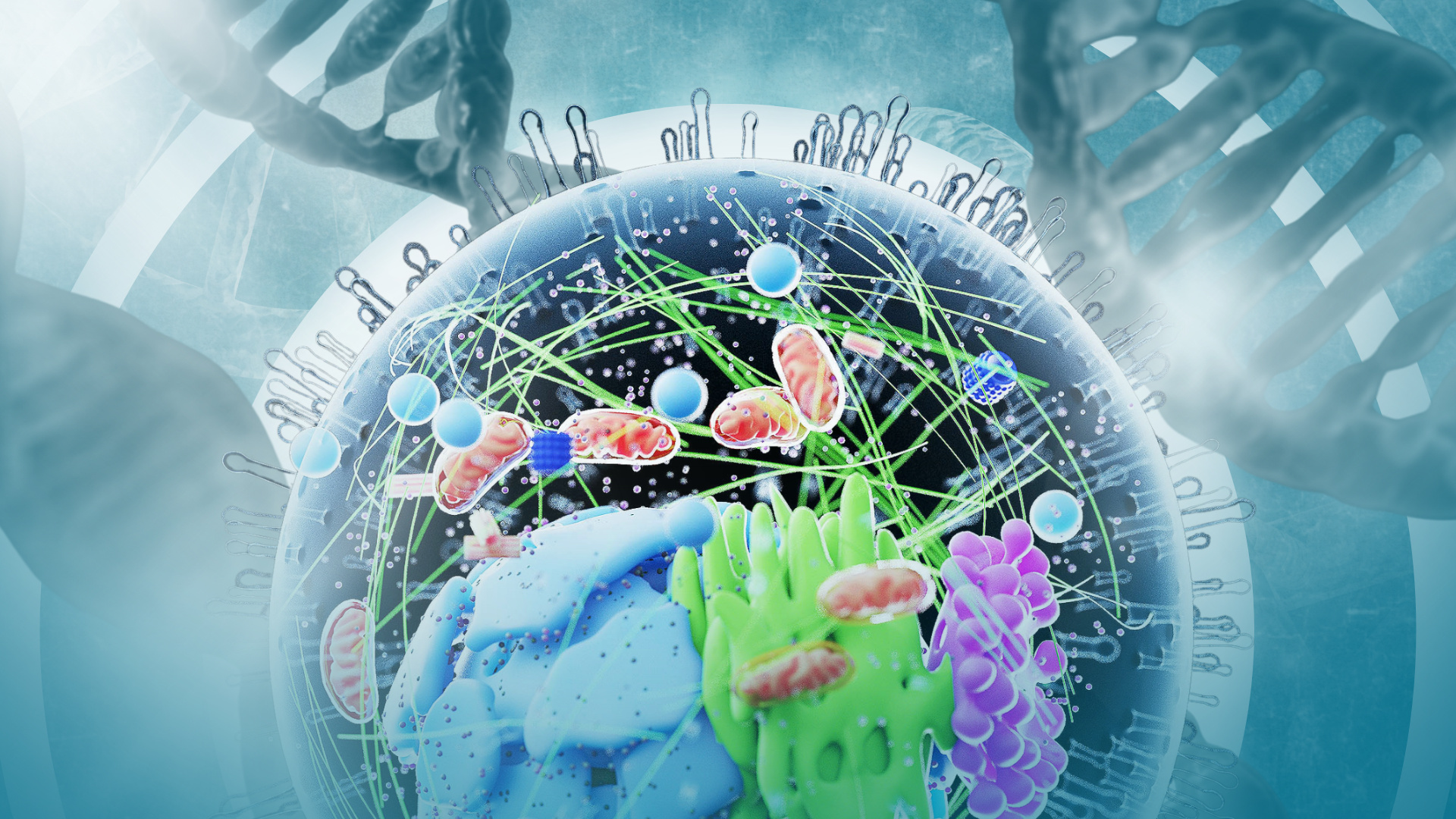 Scientists reveal new organelle, potential answer to neurodegenerative diseases