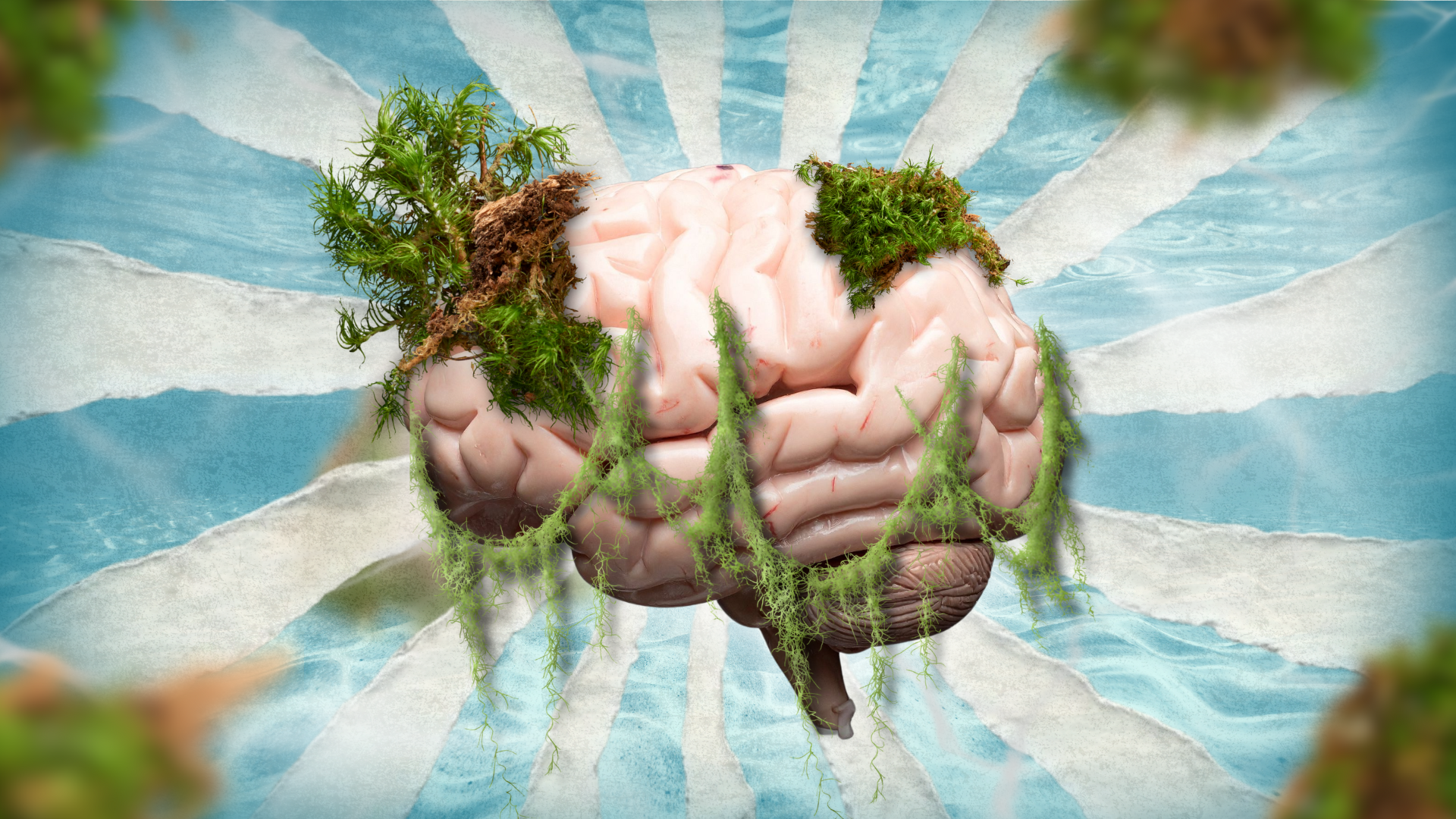 How algal blooms erase memories