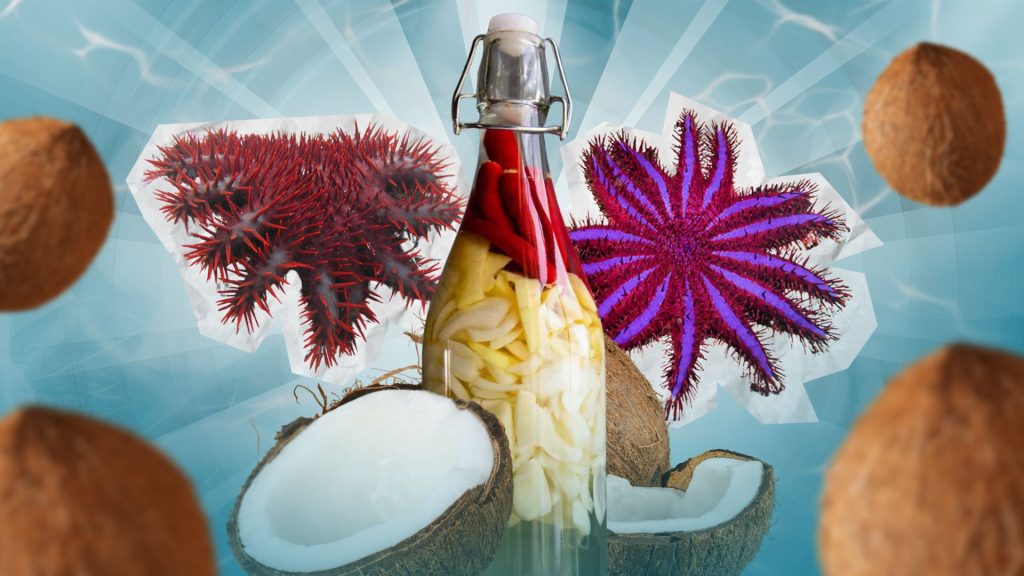 Kapag suka ang naging sandata ng karagatan