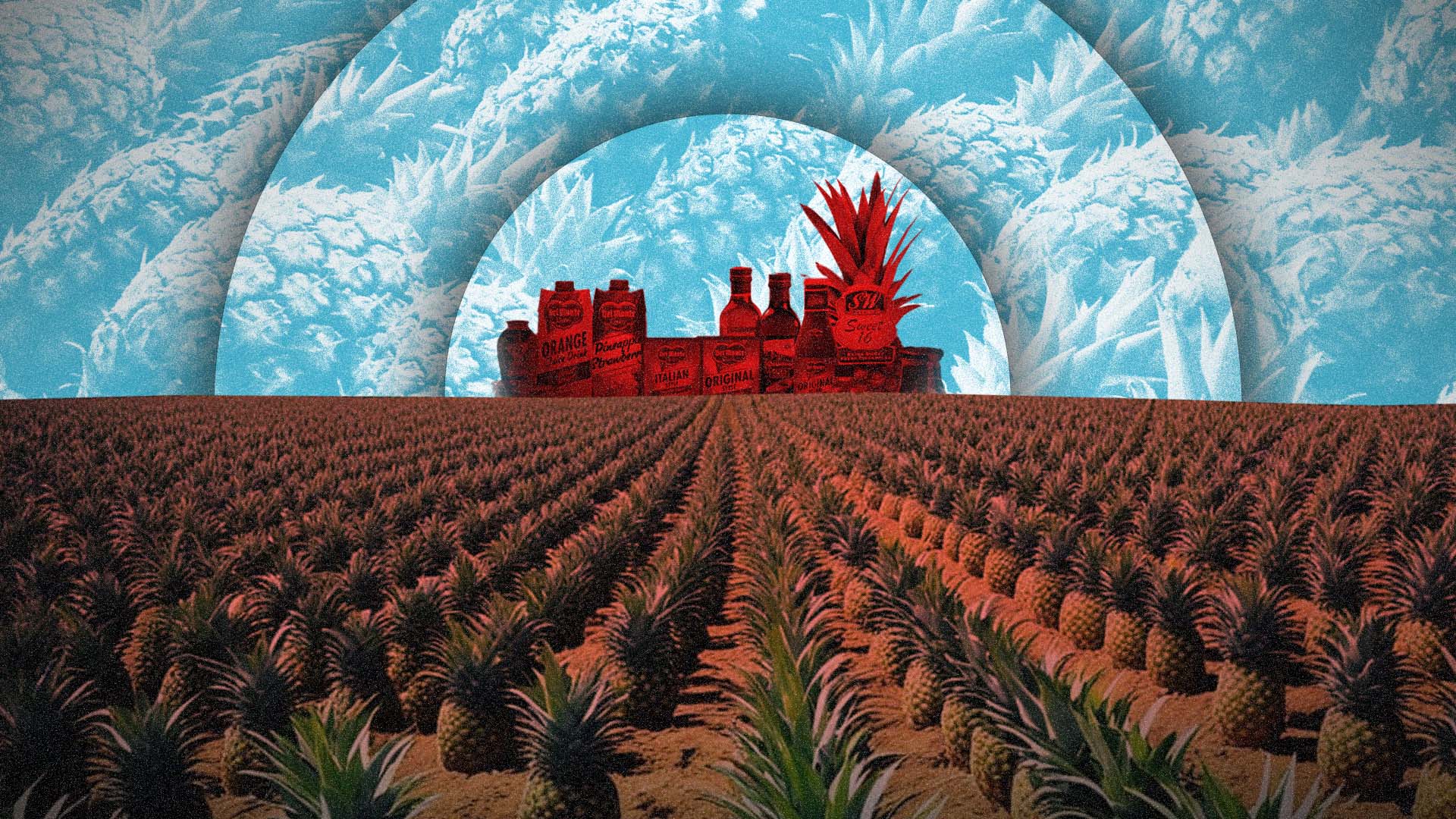 The sweetness they don’t show in the video