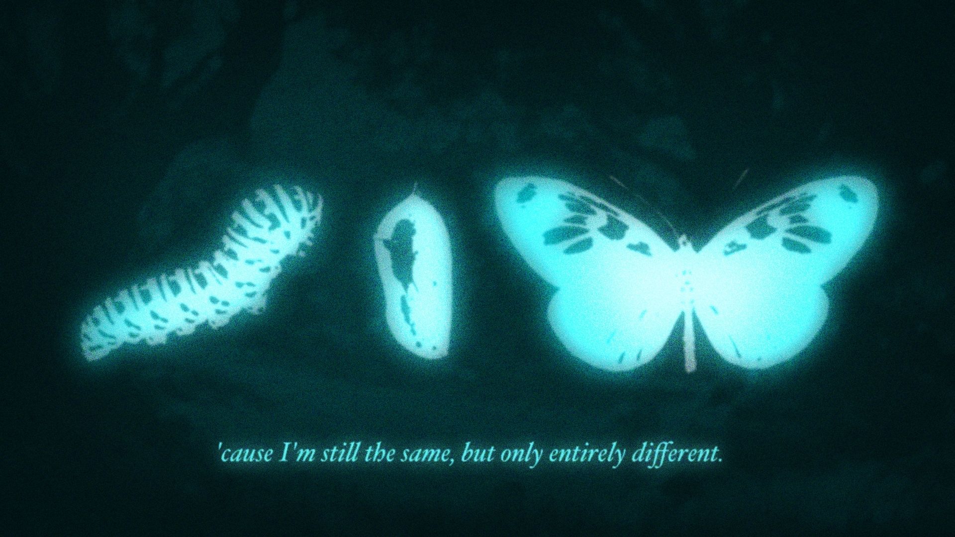 Cause I’m still the same—But only entirely different