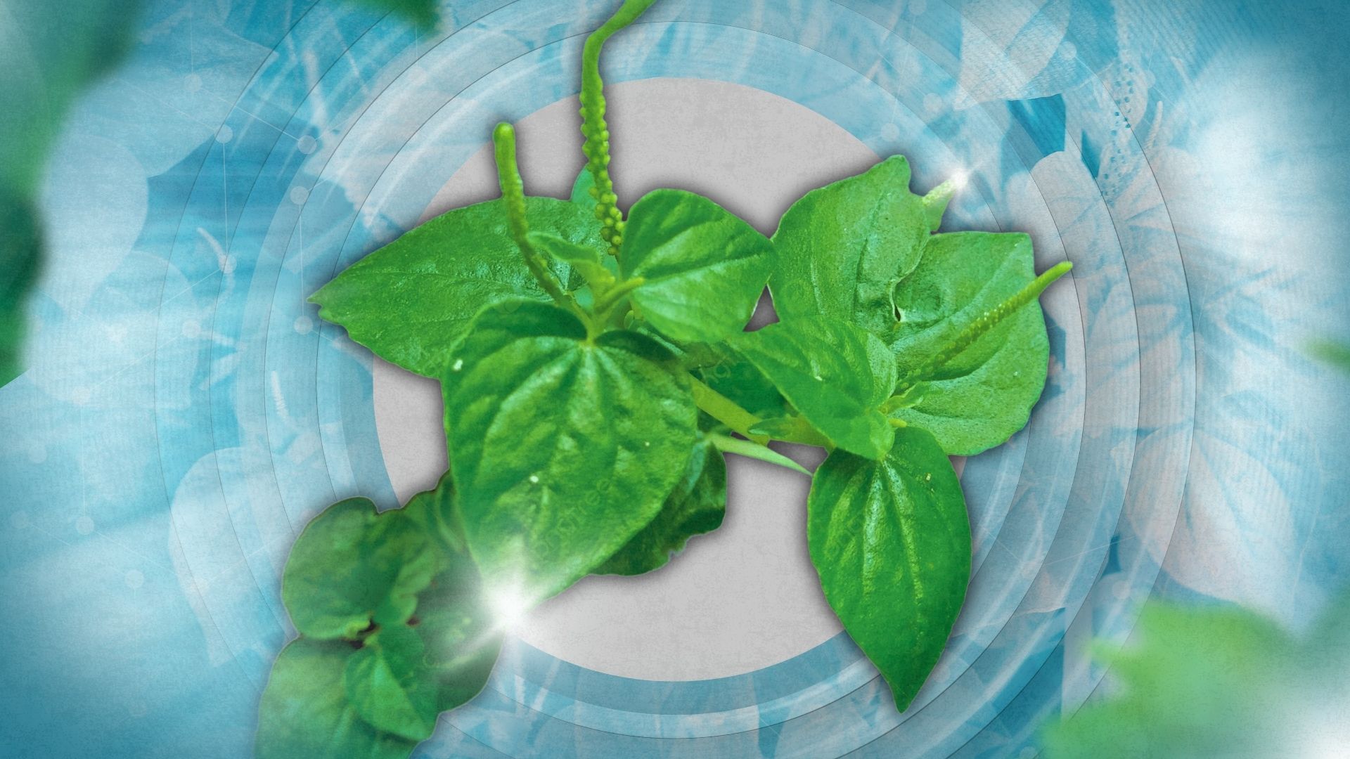Kung saan may sumusulpot, may halamang-gamot na mahuhugot