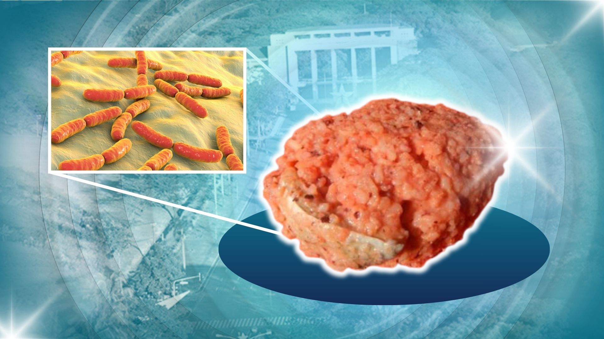 This Kapampangan staple is both a delicacy and a 'gut superfood'‎