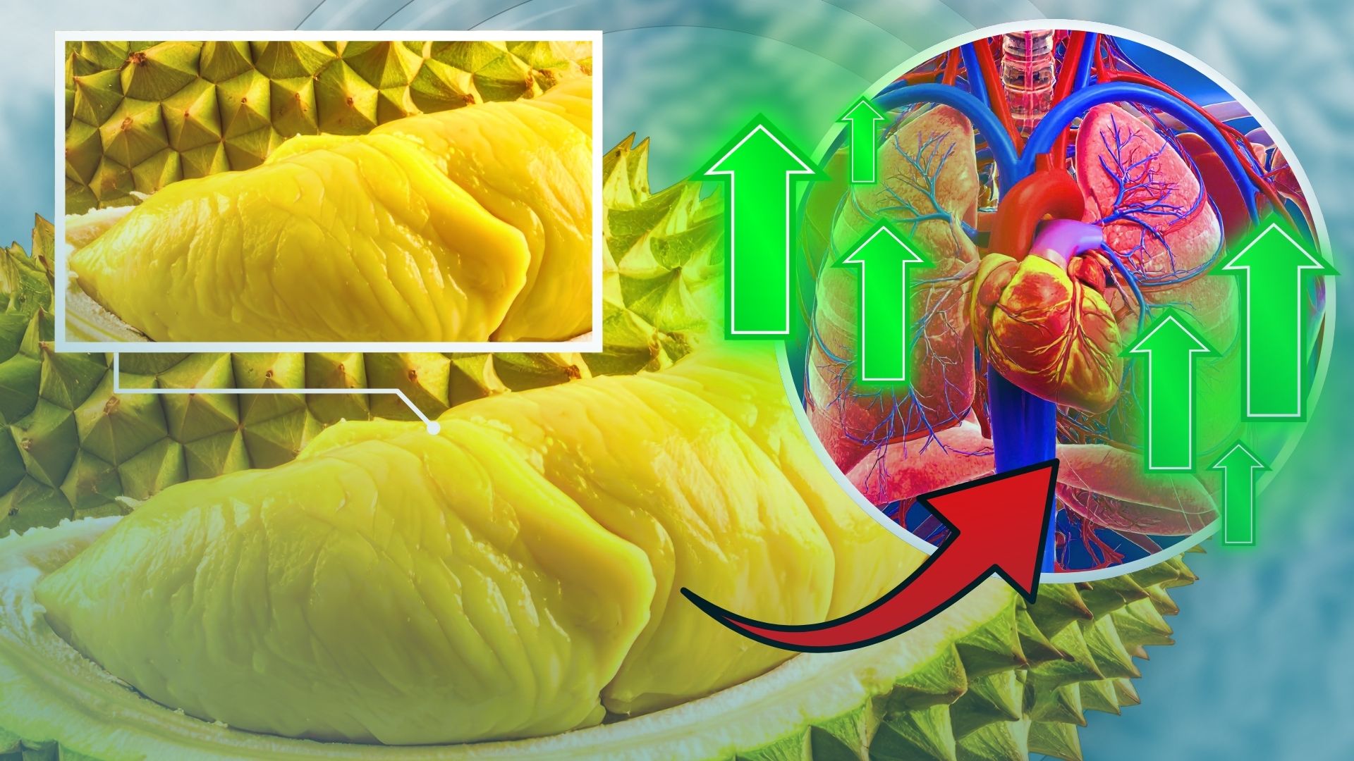 Davao’s Durian: The Pungent King That Powers Life and a City's Heartbeat