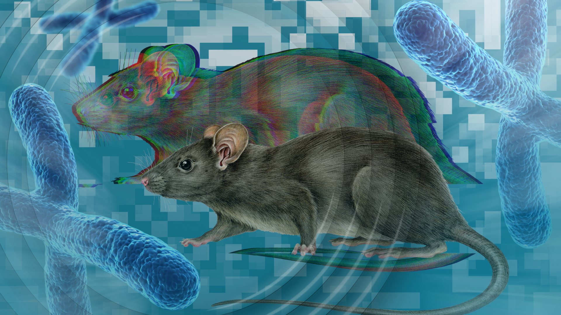 Cloning isn’t infinite— and it took 20 years to prove it