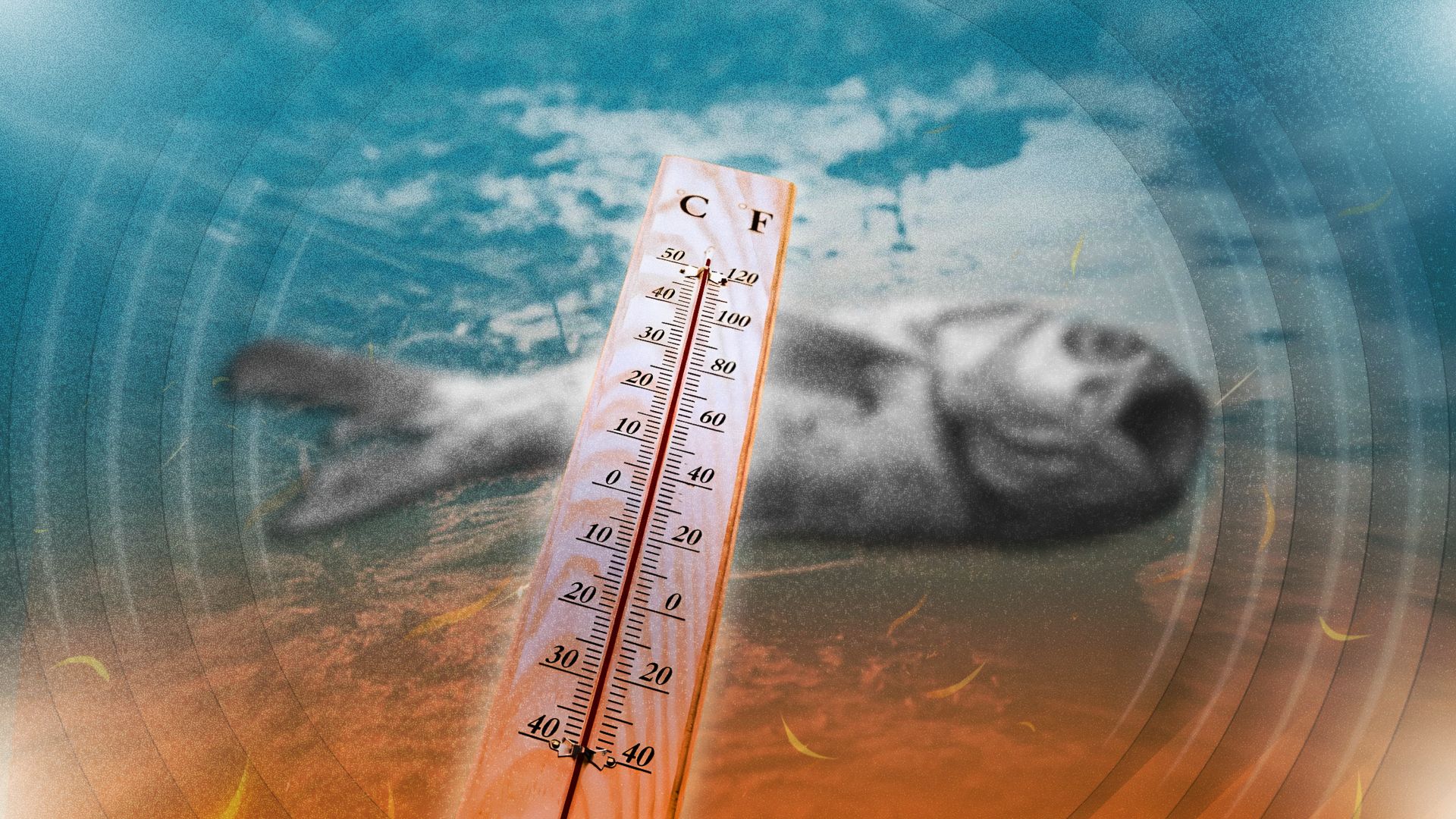 Ocean warming could mean fewer fish in the future, NASA study finds