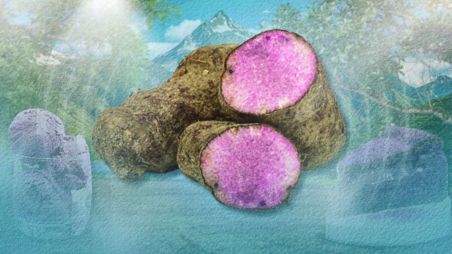 Ube ‘craze’ proves how science policies sustain hypes on agri-products
