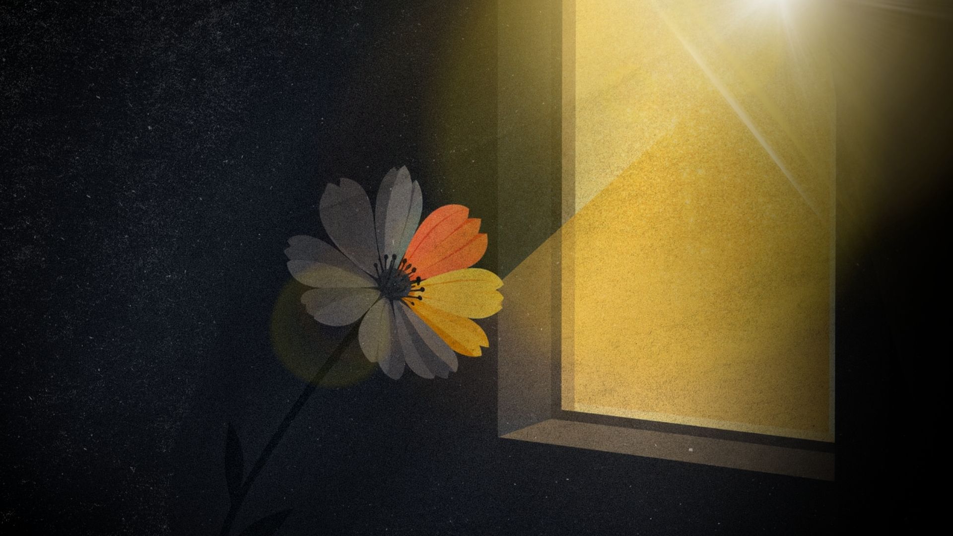 Come outside, everyone deserves sunshine