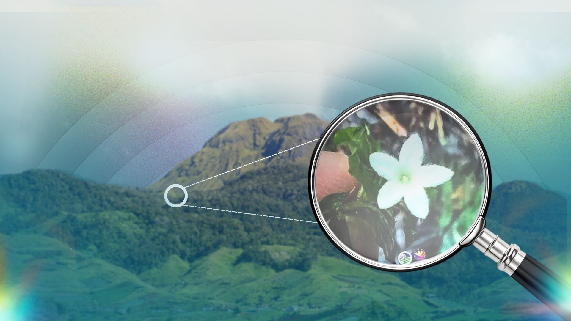 Muling tuklas na pambihirang halaman, kasama sa mga bukod-tanging nabubuhay sa Mount Apo