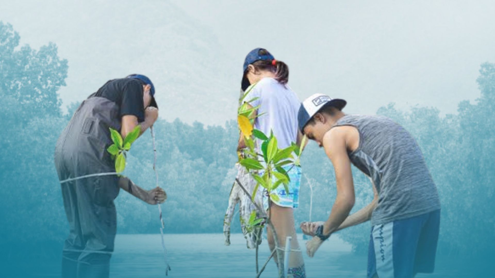 ₱25B benepisyo, naibibigay ng mangroves sa WPS — pag-aaral