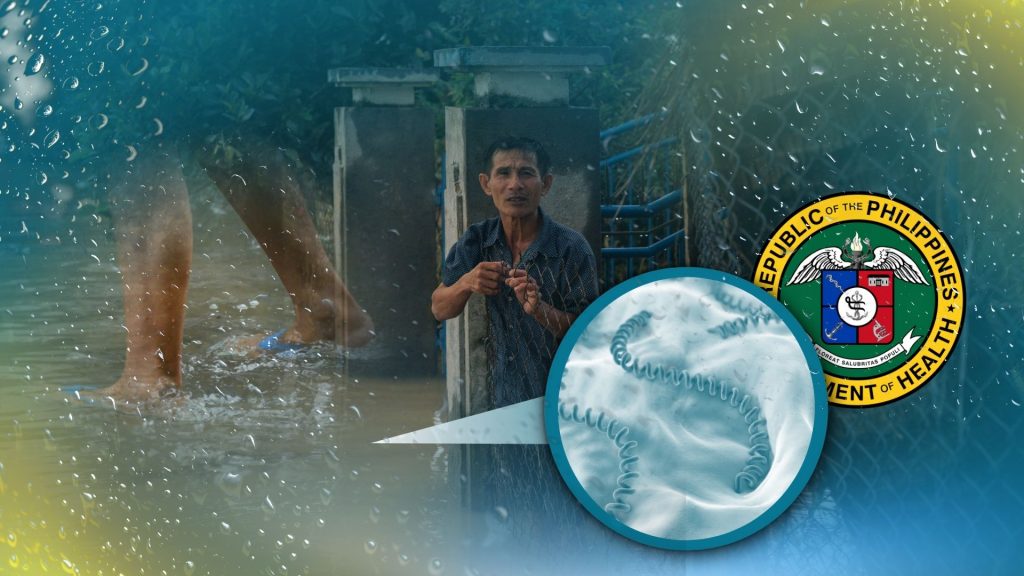 DOH logs 6% surge in leptospirosis cases; warns more for rainy season