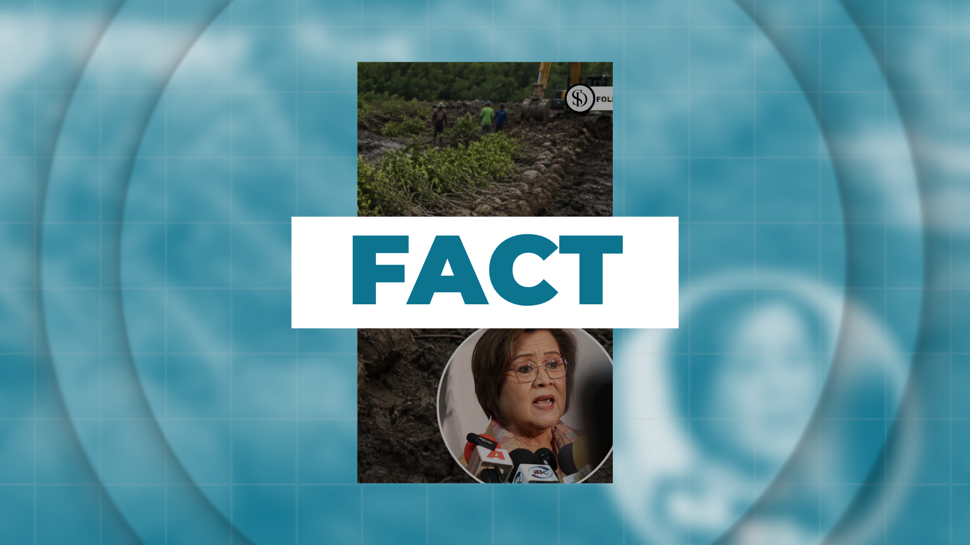 FACT: ML Rep. de Lima urges DENR to halt mangrove earthballing