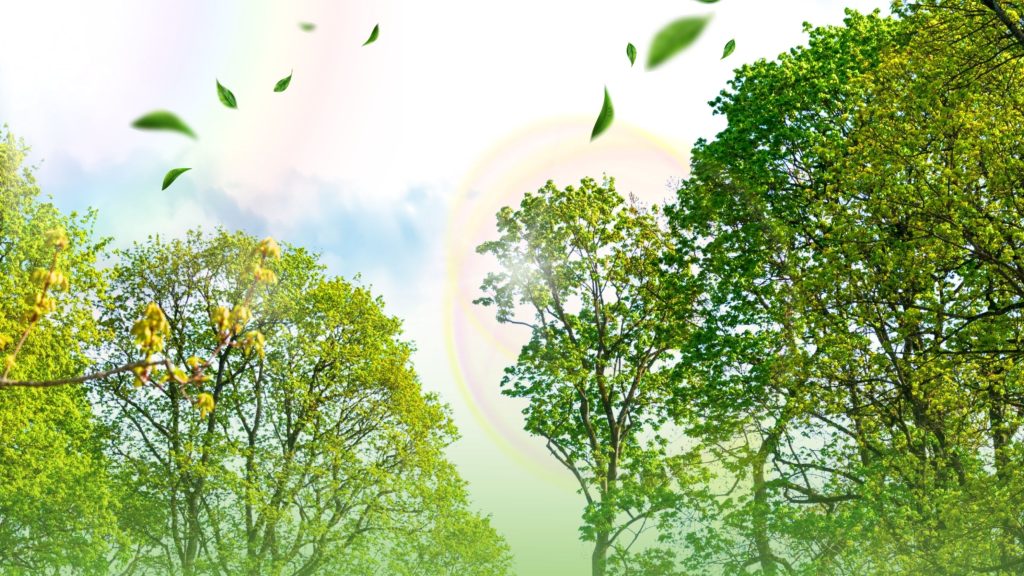 Our cities don't need cooler rooms, they need warmer and greener third spaces